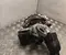 Volkswagen 05L 253 019 F / 05L253019F PASSAT Variant (3G5) 2022 Turbolader - Bild 3