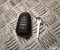 Opel E210800 Grandland 2025 Key - Image 2