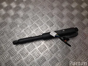 Tesla 1714865-00-D / 171486500D MODEL 3 2024 Dujinė spyruoklė