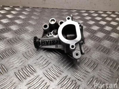 Nissan 150100347R, 150 159 239R / 150100347R, 150159239R Qashqai III (J12) 2022 Alyvos siurblys - Paveiksliukas 1