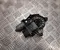 Renault 807214091R MASTER IV Pritsche/Fahrgestell 2025 Fensterhebermotor vorne links - Bild 2
