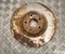 Mercedes-Benz 24013001711, 2094210012 C-CLASS (W203) 2007 Bremsscheibe vorne - Bild 3