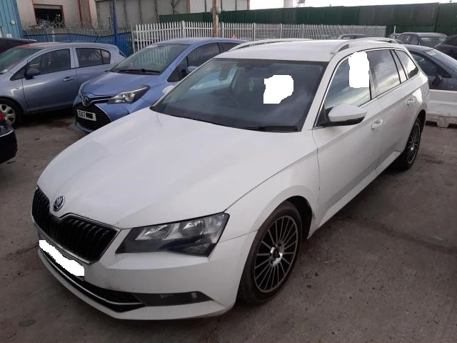 Superb baltas - Photo 1