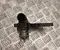 Audi 06E121111AL A6 Avant (4G5, C7, 4GD) 2018 Thermostat - Image 3