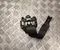 Tesla 1616501-E1-C / 1616501E1C Model Y 2025 Sicherheitsgurt hinten links - Bild 1