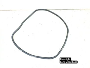 Porsche 971833722, 971833722B PANAMERA (971) 2018 Durų sandariklis dešinysis galinis