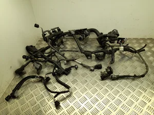 Toyota 0219-3W / 02193W COROLLA ( E210) Sedan 2022 Fils du compartiment moteur