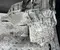 Tesla 4D1, 1665000-D1-L / 4D1, 1665000D1L Model Y (5YJY) 2025 Moteur complet - Image 2