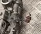 Volkswagen 3Q0 816 803 D / 3Q0816803D PASSAT B9 Variant (CJ5) 2024 Compressor, air conditioning - Image 3