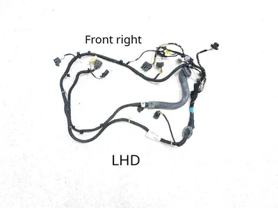 McLaren 13M1084CP, 13M1084CP.01 / 13M1084CP, 13M1084CP01 570S 2016 Harness for interior Door - Image 1