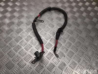 Jeep P68309063AB COMPASS (MP) 2018 Starterio laidai - Paveiksliukas 1