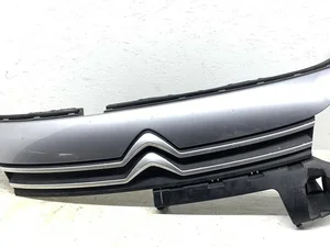 Citroën 99899495, 98167799080 Berlingo III 2020 Grillades