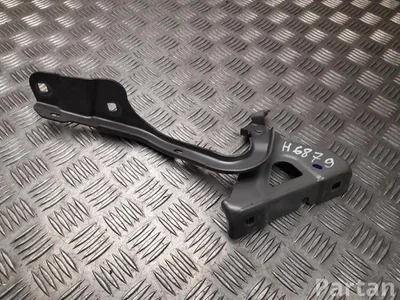 Renault 654002262R KANGOO III 2021 Scharnier, Motorhaube - Bild 1