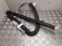 Peugeot 9811504680 3008 SUV 2021 Airbag de tête