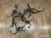 Renault 240115562S AUSTRAL 2024 Variklio skyriaus laidai