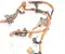 Ford USA NL38-14A099-TA, RL38-14B323BC, RL38-14B323, Z13045445 / NL3814A099TA, RL3814B323BC, RL3814B323, Z13045445 F-150 LIGHTNING Crew Cab Pickup 2025 Laidai - Nuotrauka 2