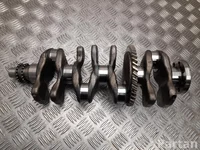 Lexus 1340124020 UX (ZA10) 2019 Crankshaft