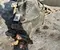 Mercedes-Benz A4473501314 VITO Box (W447) 2023 Rear axle differential - Image 2
