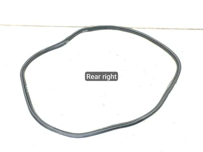 Ford USA JL1B78253A10-AD / JL1B78253A10AD EXPEDITION (U553) 2020 Junta de puerta Right Rear - Imagen 1