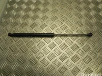 Renault 904502915R ZOE (BFM_) 2020 Ressort à gaz