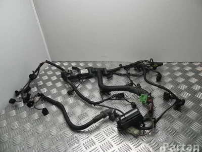 BMW 850789907 3 (F30, F80) 2013 Cables de la sección de motor - Imagen 1