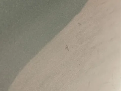 Aston Martin 6G33-40616 / 6G3340616 Vantage Coupe 2009 Couvercle de coffre - Image 1