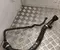 Audi 2Q0 122 291 K / 2Q0122291K Q3 Sportback (F3N) 2024 Conducto del refrigerante - Imagen 1