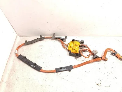 Ford USA NL38-14A099-DA, Z96714121, 35824121 / NL3814A099DA, Z96714121, 35824121 F-150 LIGHTNING Crew Cab Pickup 2025 Kabelsatz für Batterie - Bild 1