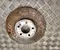 Gebrauchtes Original Mercedes-Benz B-Class (W247) 2019 Bremsscheibe vorne links vorne rechts - Bild 1