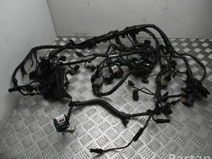 BMW 8595128, 8595127, 8583697 X3 (G01) 2019 Fils du compartiment moteur