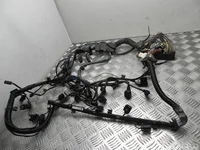 BMW 7550245 5 (F10) 2014 Fils du compartiment moteur