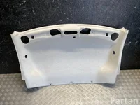 Dacia 739102153R DOKKER Express 2015 Headlining