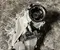 Mercedes-Benz A1672804900 GLE (W167) (2019 ...) 2020 Transfer Case - Image 2