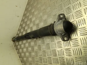 Volkswagen 5QF513049BN TIGUAN (AD1) 2020 Amortisseur Right Rear Left Rear