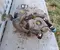 Mercedes-Benz A2054706901 C-CLASS (W205) 2015 Adblue Tank - Bild 3