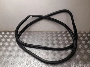 Toyota 017 RAV 4 V 2020 Joint d'étanchéité de porte Right Rear