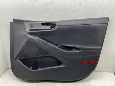 Hyundai 82340G2000 IONIQ (AE) 2021 panel de puerta Right Front - Imagen 1