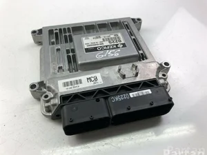 Kia 39110-02MC0 / 3911002MC0 PICANTO (BA) 2008 Unités de contrôle