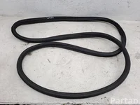 Citroën C4 CACTUS 2019 Türdichtung vorne rechts