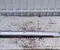 Ford L1TBS20307C, L1TBS20307D Puma 2020 Sonstige Veredelungsdetail - Bild 2