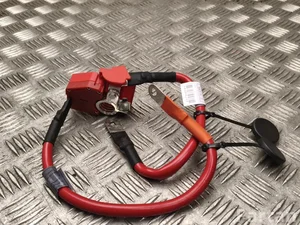 BMW 96SKV303, 61126834543 3 (F30, F80) 2018 Kabelsatz für Batterie