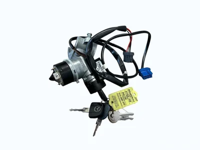 Mercedes-Benz Trucks A9434600204, A6674600504, A0385450432 ATEGO 3 2017 Central Locking - Image 1