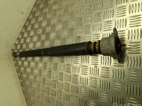 Ford FN1C-18097-AB / FN1C18097AB ECOSPORT 2016 Amortisseur Right Rear Left Rear