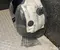 Tesla 1694557-00 / 169455700 MODEL 3 2024 Локер колесной арки спереди справа - Изображение 2