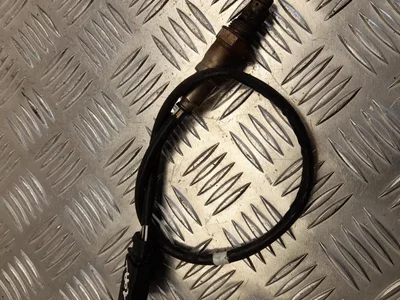 Volkswagen 05L906262B PASSAT Variant (3G5) 2019 Sonde lambda - Image 1