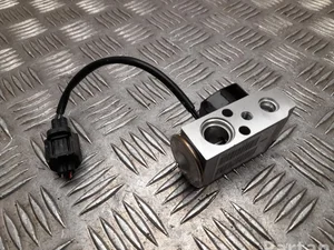 Tesla 6008481-00-B / 600848100B MODEL X 2019 Détendeur