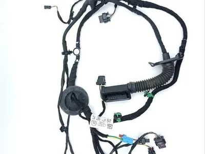 Audi 4M8971687KC Q8 (4MN, 4MT) 2021 Cables de salón Puerta - Imagen 1