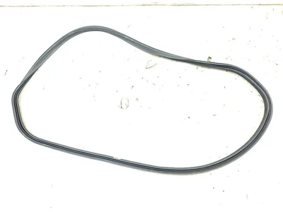 Chevrolet 246649263, 6H84952580 Corvette (C8) 2021 Уплотнение двери - Изображение 1