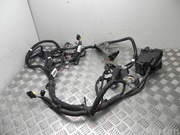 RENAULT 240110797S, 243804176R ZOE (BFM_) 2020 Engine harness