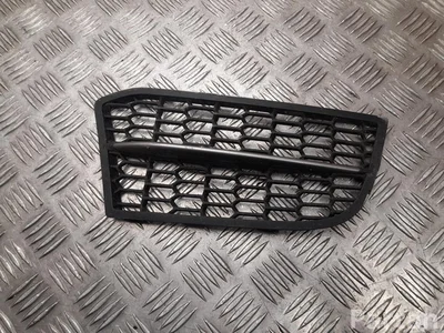 BMW 8 055 134 / 8055134 5 Touring (F11) 2017 Grillades - Image 1